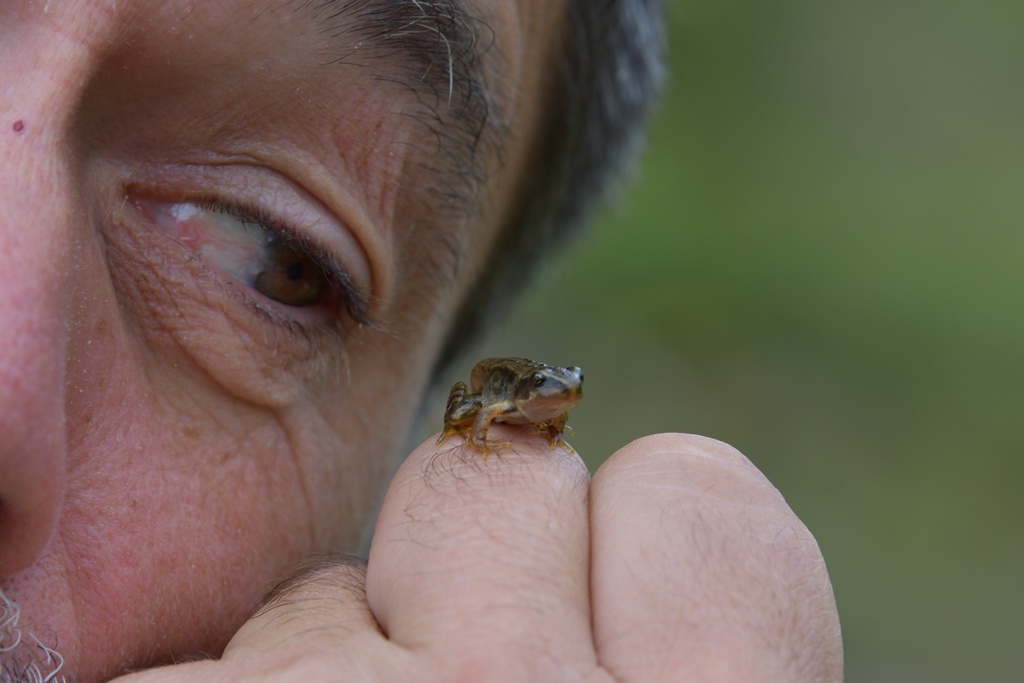 2019-08 Savoie/La Tuile/DSC_1305.JPG